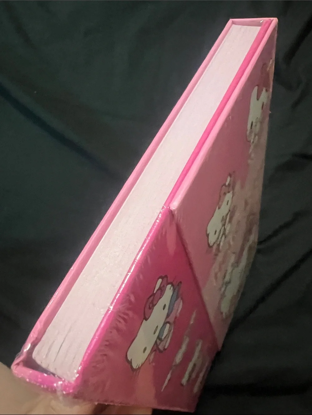 Hello Kitty Pink Duo-Panel Character Notebook